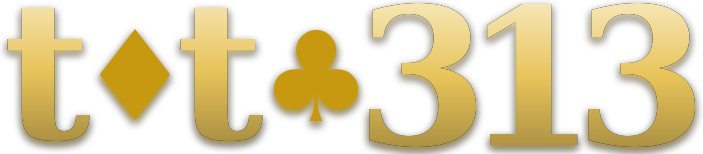 toto313 logo